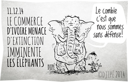 braconnage, caricatures, Chine, commerce, contrebande, défense de l'environnement, dessin de presse, dessinateur, Djipé, éléphants, extinction, humour, humour noir, Iain Douglas-Hamilton, ivoire, massacre, ONG, Save the Elephants, The Aspinall Foundation, 