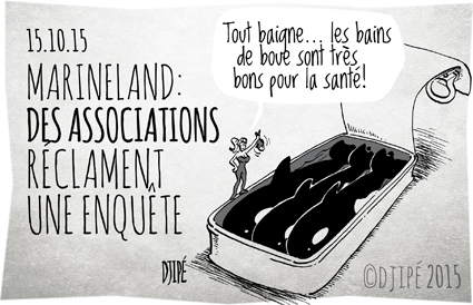 caricatures, dessin de presse, dessinateur, détenus, Djipé, enquête, humour, humour noir, La dolphin connection, mammifères, Marineland, orque, parc aquatique, Réseau cétacés, sanitaire, services vétérinaire, 