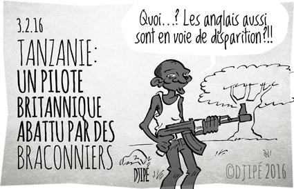 braconniers, britannique, caricatures, dessin de presse, dessin satirique, dessinateur, Djipé, éléphants, Friedkin, humour noir, Maswa, Roger Gower, Serengeti, Tanzanie, 