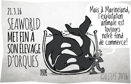 caricatures, dauphins, dessin de presse, dessin satirique, dessinateur, Djipé, humour noir, Marineland, orca, orques, SeaWorld, Tilikum, Unna, 