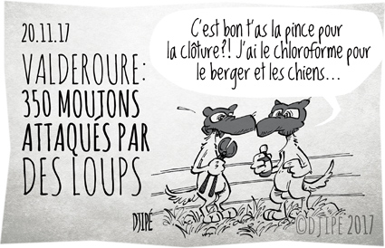 attaque, berger, caricatures, chiens, clôture électrifiée, dessin satirique, dessinateur, Djipé, humour noir, loups, moutons, troupeau, Valderoure, 