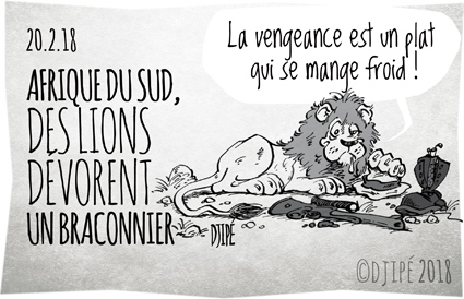 Afrique, braconnier, caricatures, chasse, Chine, dessin de presse, dessin satirique, dessinateur, Djipé, humour noir, Krüger, lion, maltraitance, mort, trafic, 