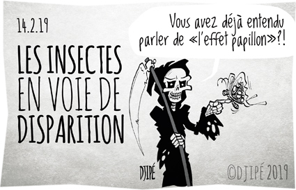 abeilles, agriculture, animaux, caricatures, dessin de presse, dessinateur, Djipé, écosystèmes, effet papillon, environnement, espèces, extinction, humour noir, insectes, mort, planète, st valentin, 